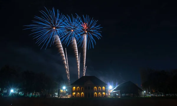 Siyah gökyüzü arka planda soyut renkli havai fişek.