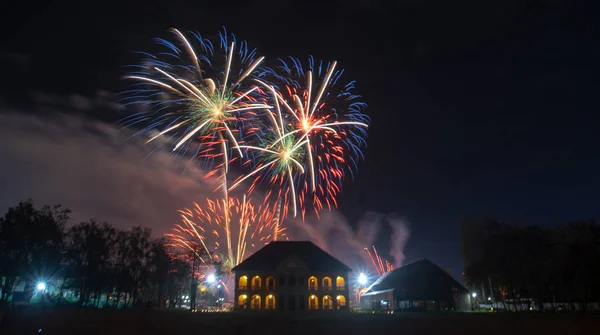 Siyah gökyüzü arka planda soyut renkli havai fişek.