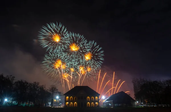 Siyah gökyüzü arka planda soyut renkli havai fişek.