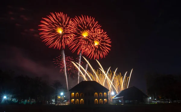 Siyah gökyüzü arka planda soyut renkli havai fişek.