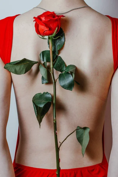 Dos Femmes Avec Rose Rouge — Photo