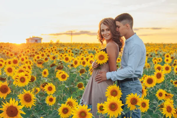 loving couple in field of sunflowers