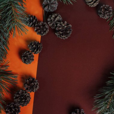 Noel kartı çam dalları ve koniler ile metin için yer