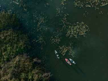 Göldeki SUP tahtalı turistlerin en iyi görüntüsü. Sörf yapan insanlarla dolu güzel, berrak bir su. Arka planda kürek çeken insanların olduğu deniz manzarası