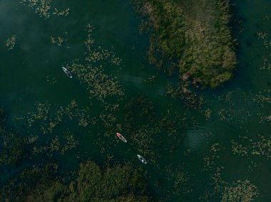 Göldeki SUP tahtalı turistlerin en iyi görüntüsü. Sörf yapan insanlarla dolu güzel, berrak bir su. Arka planda kürek çeken insanların olduğu deniz manzarası