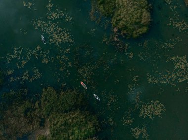 Göldeki SUP tahtalı turistlerin en iyi görüntüsü. Sörf yapan insanlarla dolu güzel, berrak bir su. Arka planda kürek çeken insanların olduğu deniz manzarası