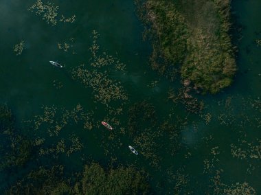 Göldeki SUP tahtalı turistlerin en iyi görüntüsü. Sörf yapan insanlarla dolu güzel, berrak bir su. Arka planda kürek çeken insanların olduğu deniz manzarası