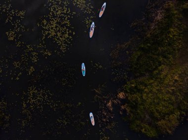 Göldeki SUP tahtalı turistlerin en iyi görüntüsü. Sörf yapan insanlarla dolu güzel, berrak bir su. Arka planda kürek çeken insanların olduğu deniz manzarası