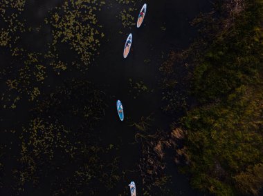 Göldeki SUP tahtalı turistlerin en iyi görüntüsü. Sörf yapan insanlarla dolu güzel, berrak bir su. Arka planda kürek çeken insanların olduğu deniz manzarası