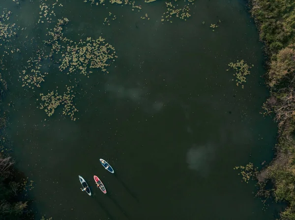 Göldeki SUP tahtalı turistlerin en iyi görüntüsü. Sörf yapan insanlarla dolu güzel, berrak bir su. Arka planda kürek çeken insanların olduğu deniz manzarası