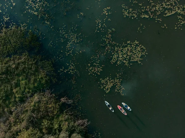 Göldeki SUP tahtalı turistlerin en iyi görüntüsü. Sörf yapan insanlarla dolu güzel, berrak bir su. Arka planda kürek çeken insanların olduğu deniz manzarası