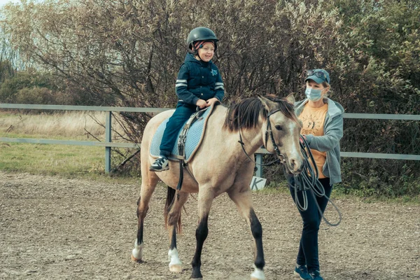 Niño Pequeño Overoles Color Turquesa Acariciando Caballo Poni Islandés Con — Foto de Stock