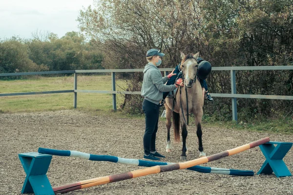 Ein Kleiner Junge Türkisfarbenen Overalls Streichelt Ein Islandpony Mit Einem — Stockfoto