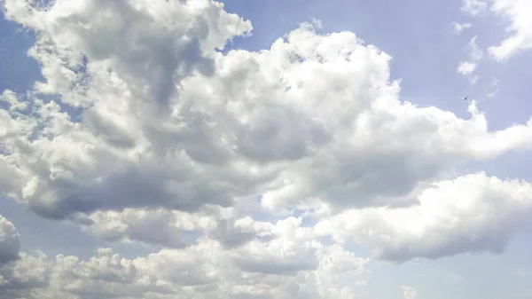 Kumuluswolken Wie Flauschige Weiße Wattebäusche Blauen Himmel Schön Sonnenuntergang Verschiedene — Stockfoto