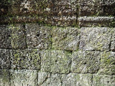 Antik Angkor tapınağın duvarına