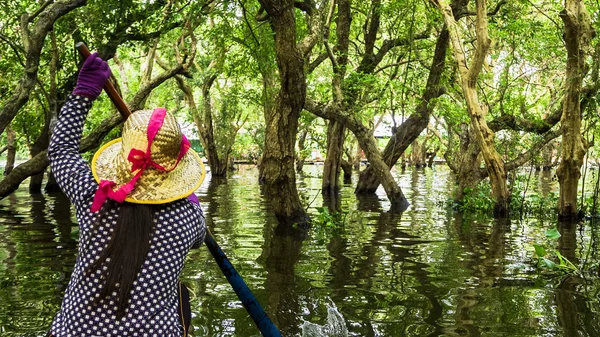 Bosque de manglares inundado. Camboya — Foto de Stock