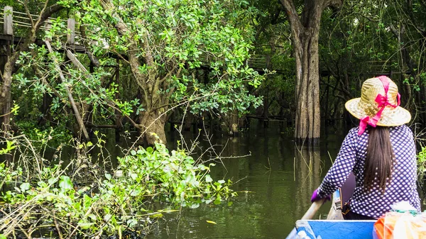 Bosque de manglares inundado. Camboya — Foto de Stock