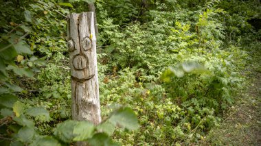 Kafa heykel ağacında
