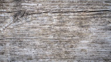 Arka plan resim od ağaç kabuğu