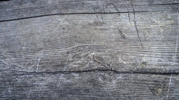 Immagine di sfondo od albero corteccia — Foto Stock