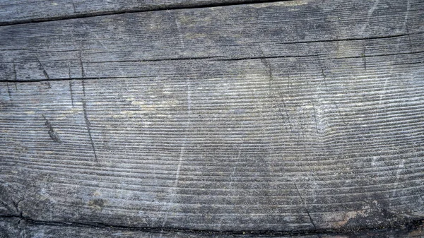 Immagine di sfondo od albero corteccia — Foto Stock