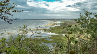 Cliff, defne ve Gösterim Tallinn, Estonya