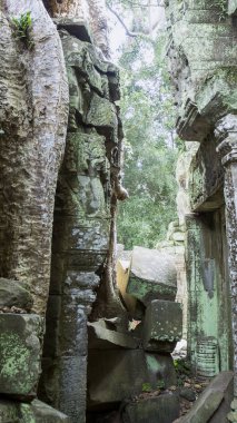 Antik Angkor tapınağın duvarına