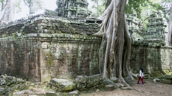 Kambodscha berühmtes Wahrzeichen. — Stockfoto