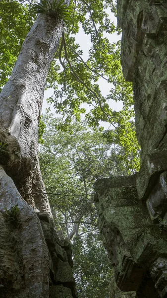 Parede do antigo Templo Angkor — Fotografia de Stock