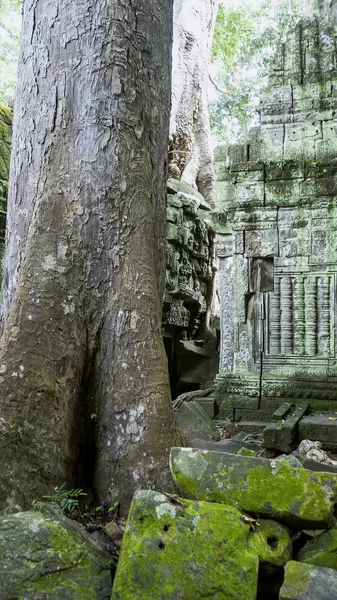 仏教の僧院、カンボジア — ストック写真