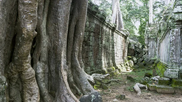 Buddhistisches Kloster in Kambodscha — Stockfoto