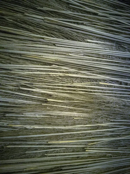 Tuğla duvar dokusu arkaplanı