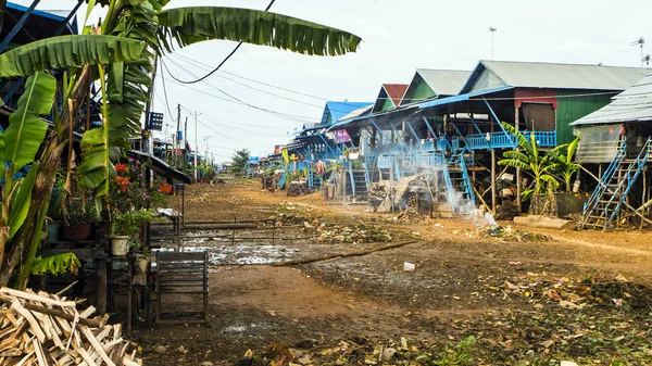 Zavallı yüzen köyü Chong Knies Kamboçya Tonle Sap (büyük göl). Köpekler