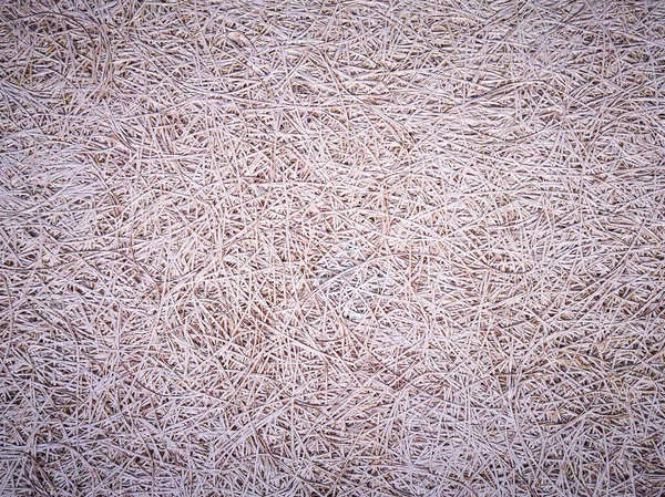 Textur bakgrund. Organiska gräs — Stockfoto