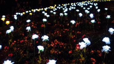 Led aydınlatma çiçek