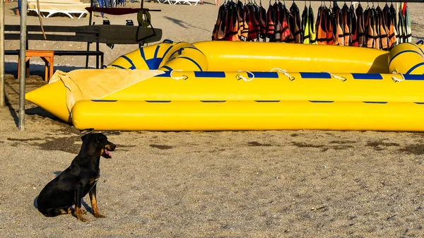 Barco amarelo inflável, coletes salva-vidas — Fotografia de Stock