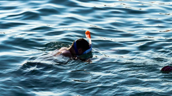 Schnorcheln, Mann schwimmt unter Wasser — Stockfoto