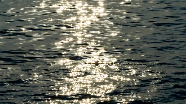 Ripples and wave. sunset time — Stock Photo, Image