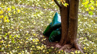 Grup solmuş yaprakların