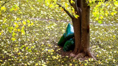 Grup solmuş yaprakların