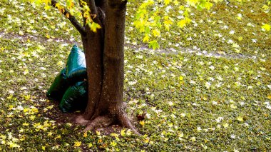 Grup solmuş yaprakların