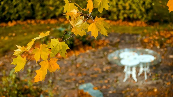 Leerer friedlicher Park, klassischer weißer Tisch — Stockfoto