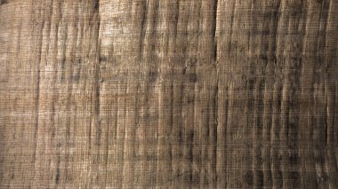 Sarı kahverengi papirüs kağıdı yırtılmış