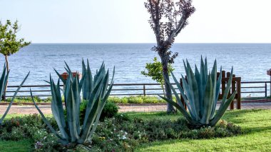 Alanya'da turizm plaj manzarası