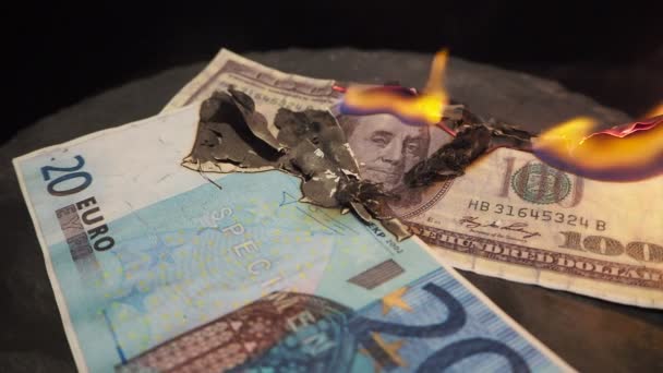 Zwanzig Euro brennen in Flammen — Stockvideo