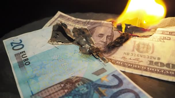 Сто двадцать евро горят в огне. — стоковое видео