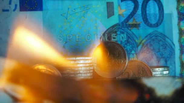 Twenty euros burn in a fire — Stock Video