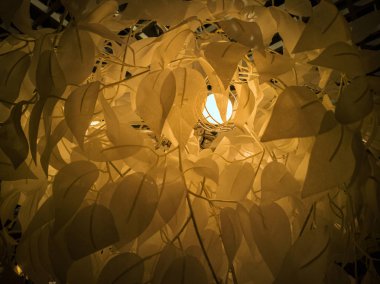 tropik yaprak dokusu