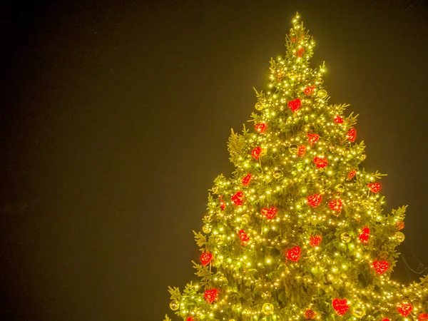 Noel ağacına bir Şehir Meydanı