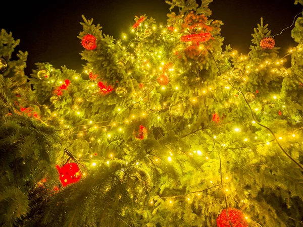 Arbre de Noël sur une place publique — Photo